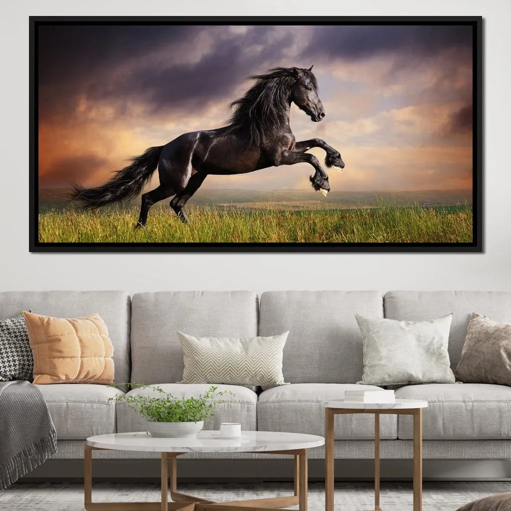 Black Friesian
