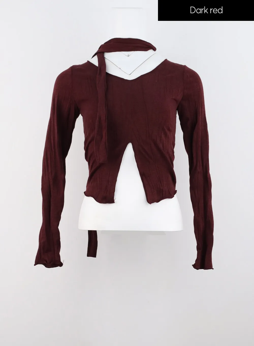 Thin Scarf & Long Sleeve Top Set IS304